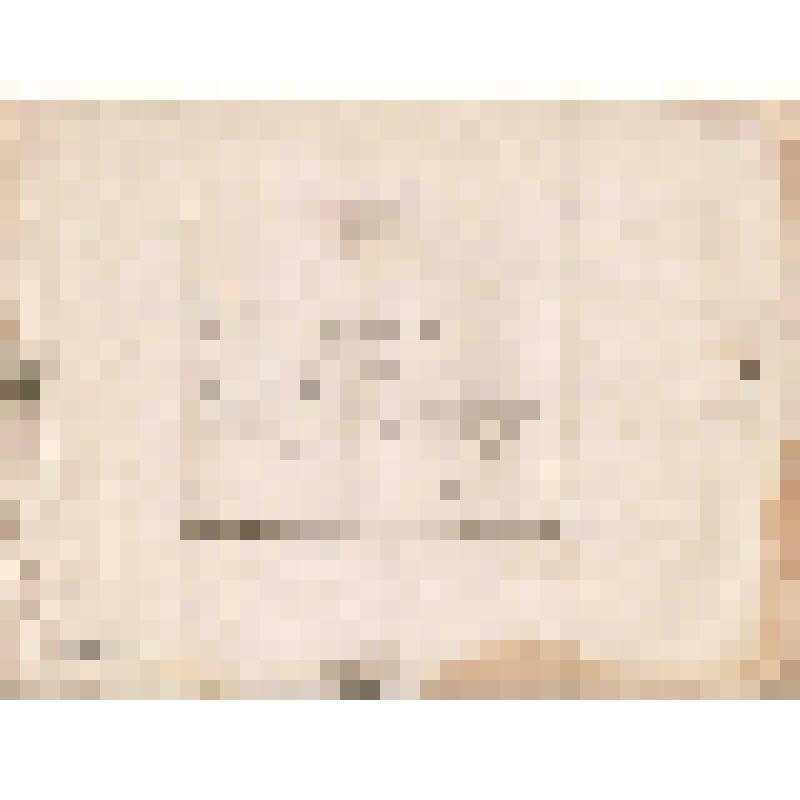 Телеграмма № 372 в г. Чердынь В. Н.Алину от Могильникова из Челнов, 22.09.1884 г