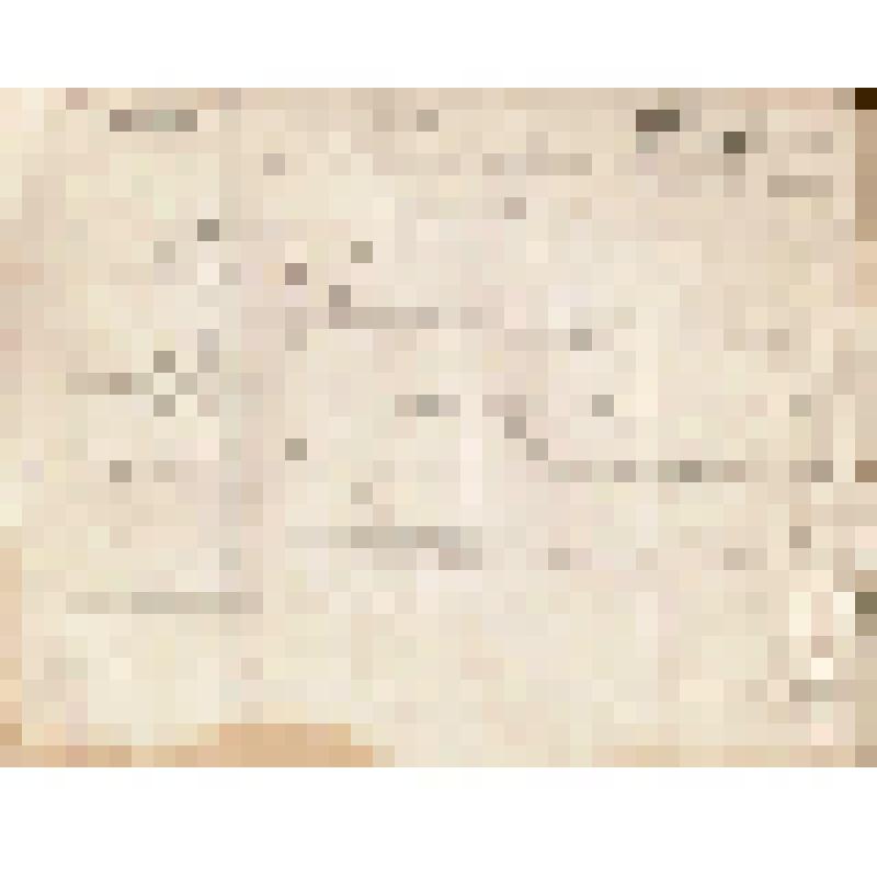 Телеграмма № 372 в г. Чердынь В. Н.Алину от Могильникова из Челнов, 22.09.1884 г