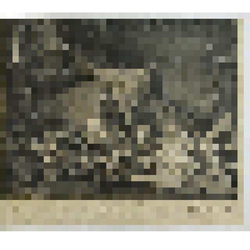 Жительницы Севра (Les Sevreuses)