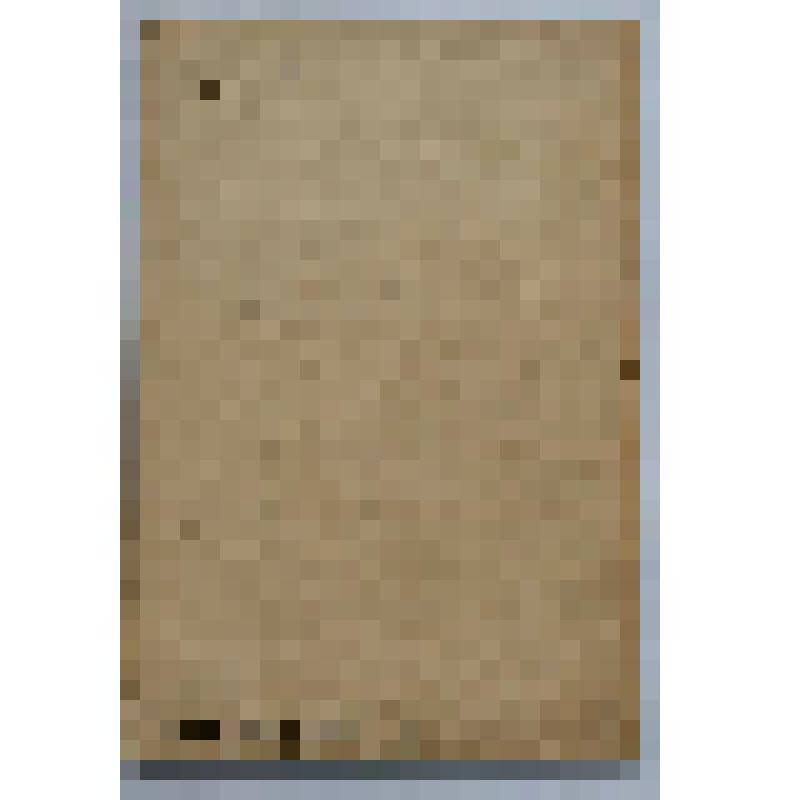 Книга. Менингит лошадей и борьба с ним. Второе исправленное издание. 1-я Образцовая типография ОГИЗа РСФСР треста "Полиграфкнига"