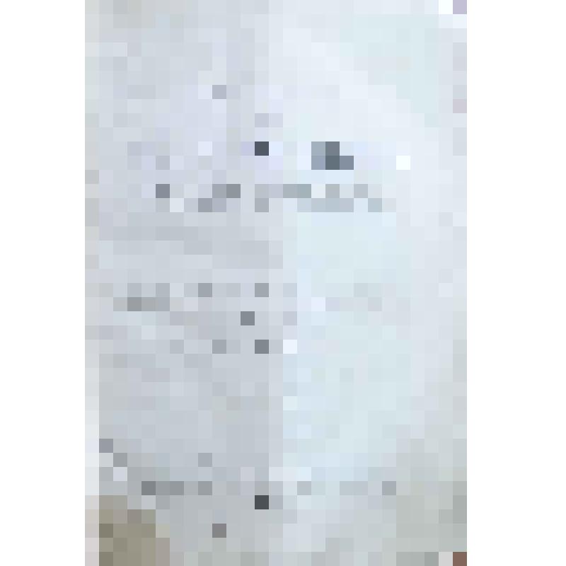 Руководство для волостных писарей как делопроизводителей и докладчиков по волостному правлению и волостному суду