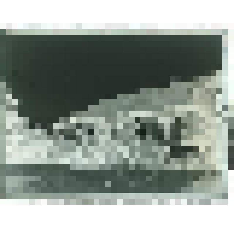 Дом А.С. Пушкина в Михайловском