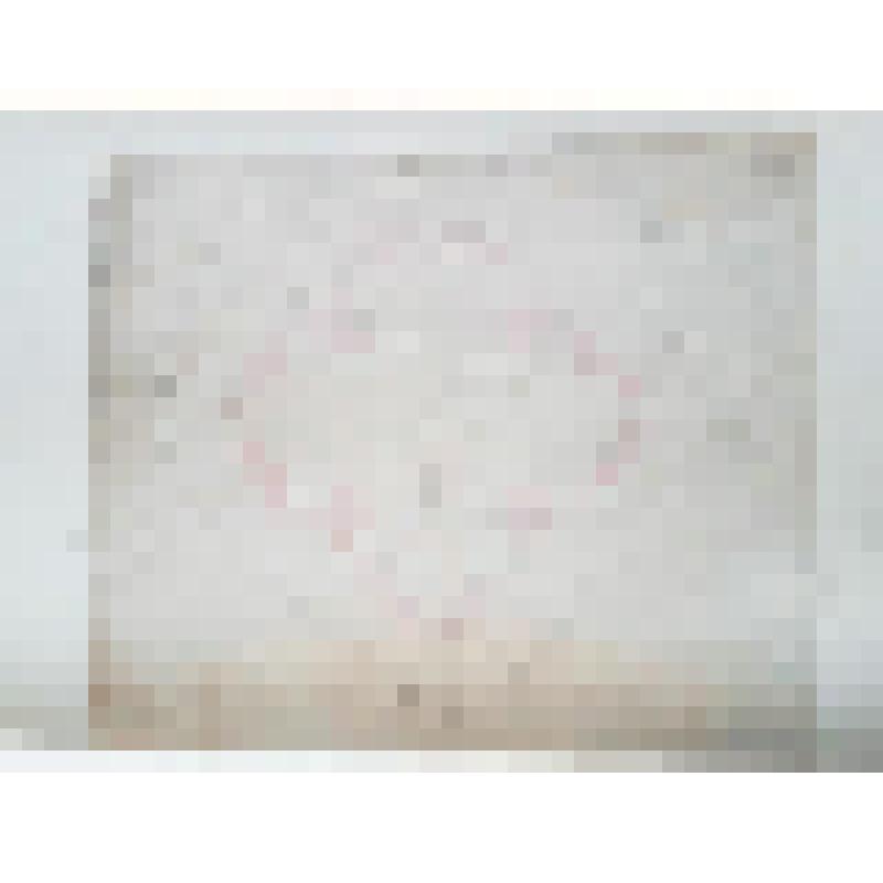 Церковь Спаса Нерукотворного. 1694-1697 гг. Реставрация 1950-1952 гг.; Усадьба Шереметьевых. Московская обл., Одинцовский р-н, с. Уборы. Церковь Спаса Нерукотворного. Бухвостов Яков Григорьевич. План