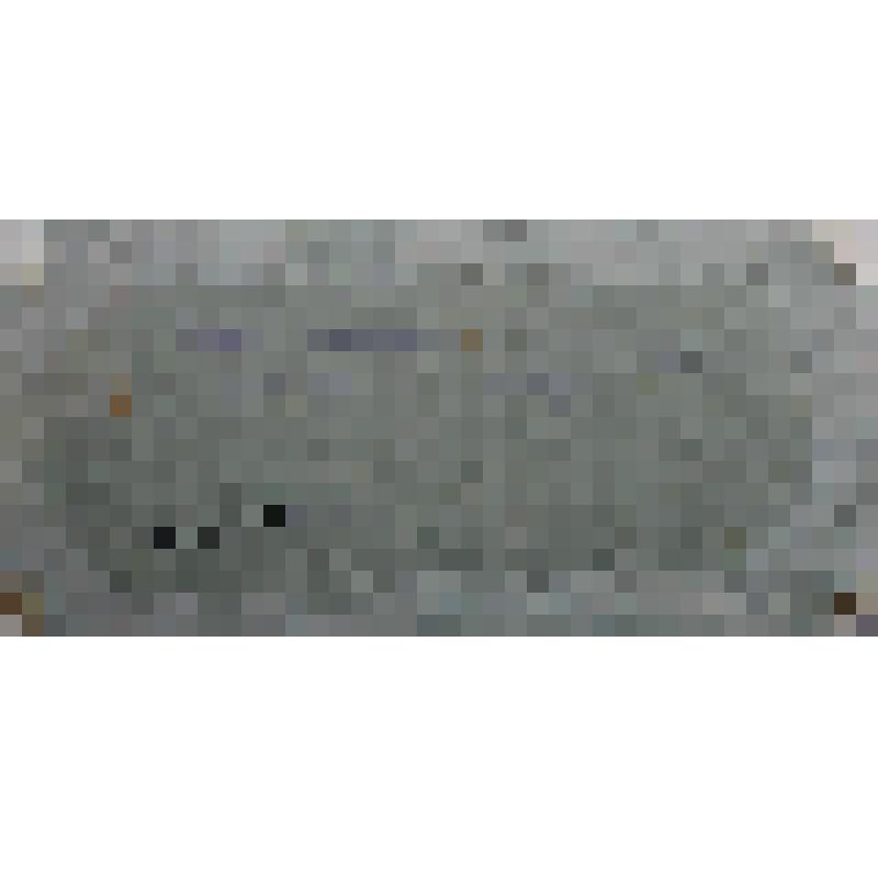 Фотография. Портрет групповой. Участники последней сессии Соликамского уездного земского собрания