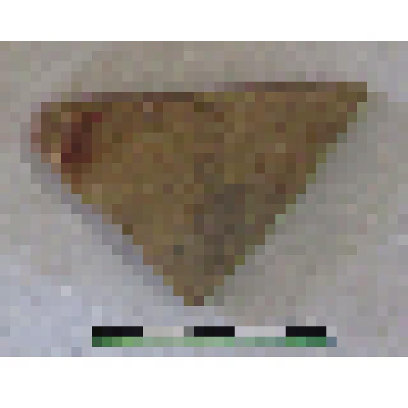 Фрагмент плеча амфоры типа D столовая с дипинто