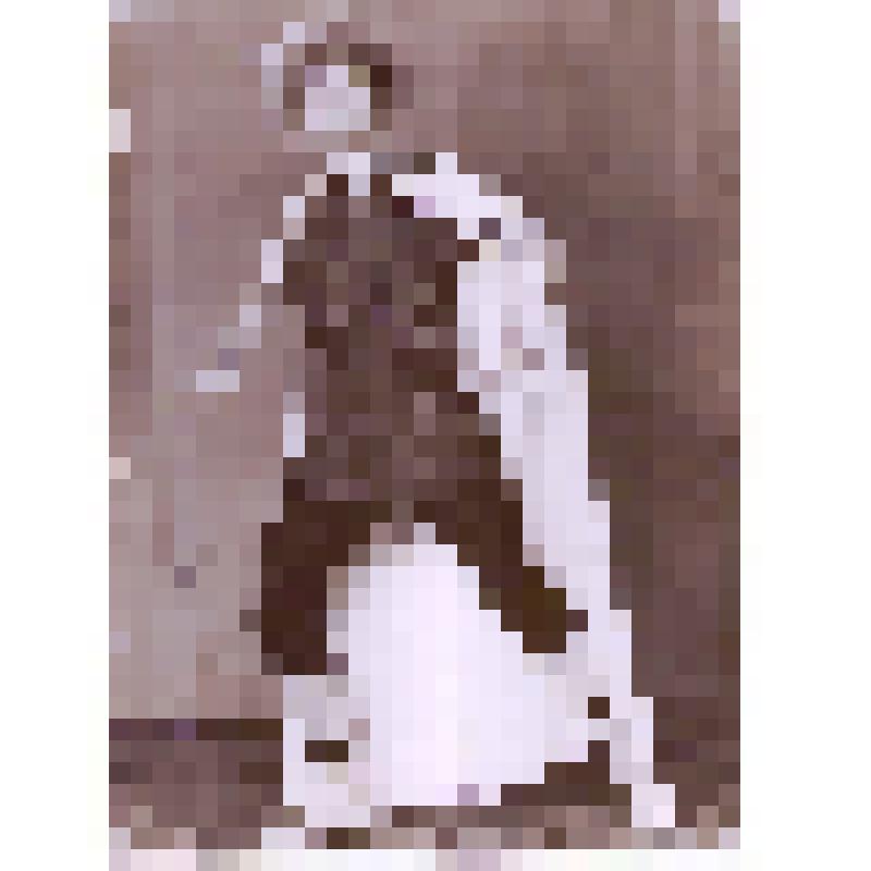 Фотография танцора Башкирской государственной филармонии