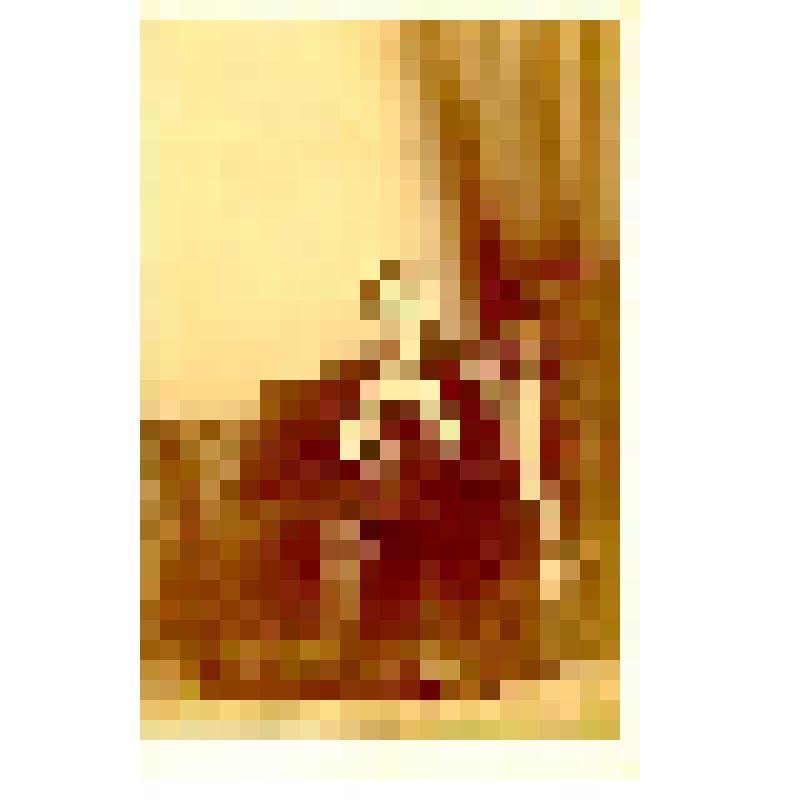 Фотография. Виллуан Ольга или Юлия Александровна, дочь Александра Ивановича Виллуана