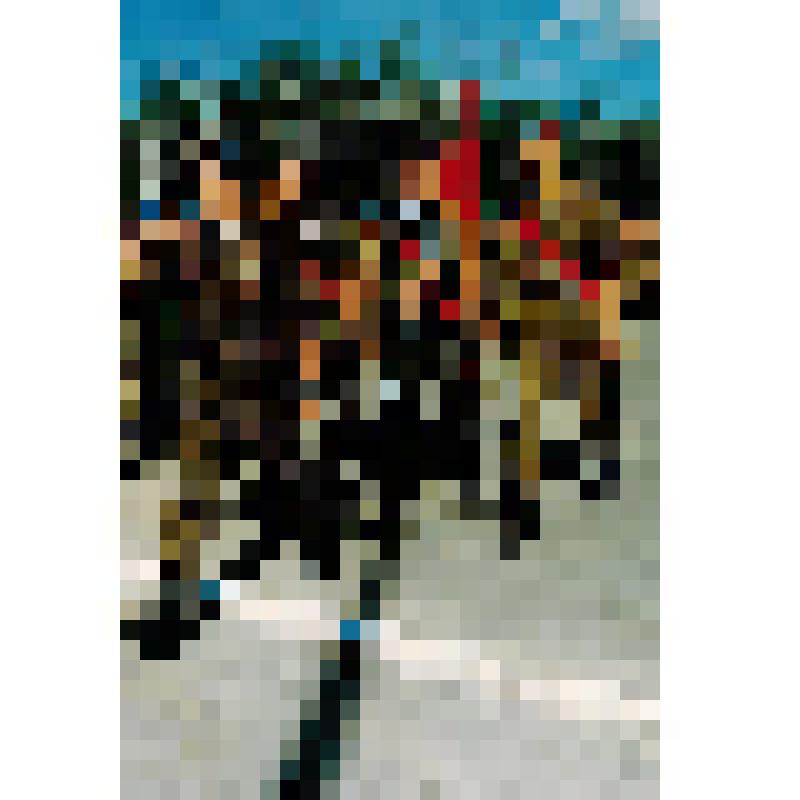 Фотография. Торжественое прохождение со Знаменем 12 бригады