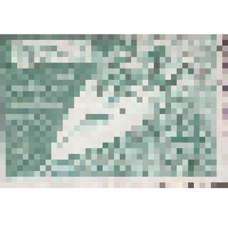 Марка почтовая. Вид спорта (водно-моторный)