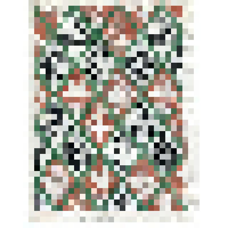 "Обложка книги". Рисунок