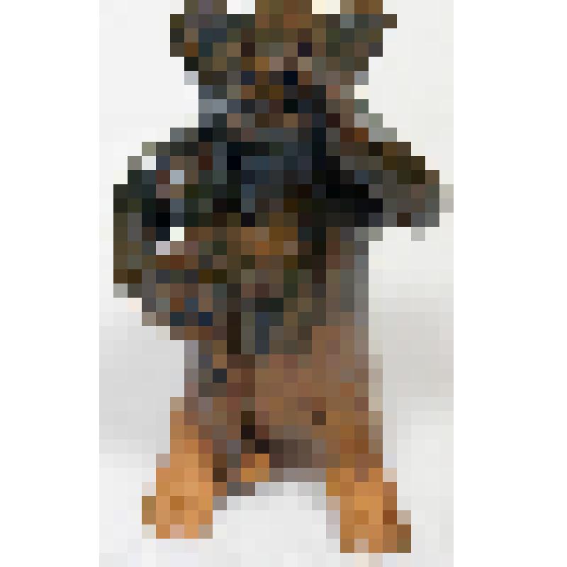 Игрушка-свистулька.  Медведь