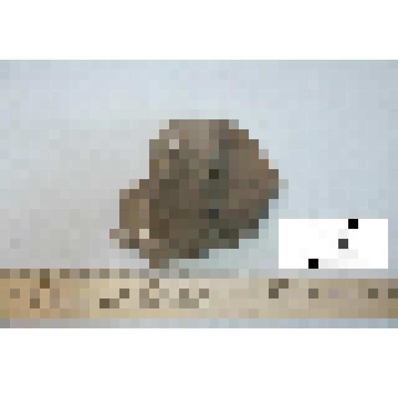 Фрагмент ручки сосуда