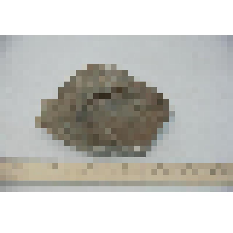 Фрагмент ручки сосуда