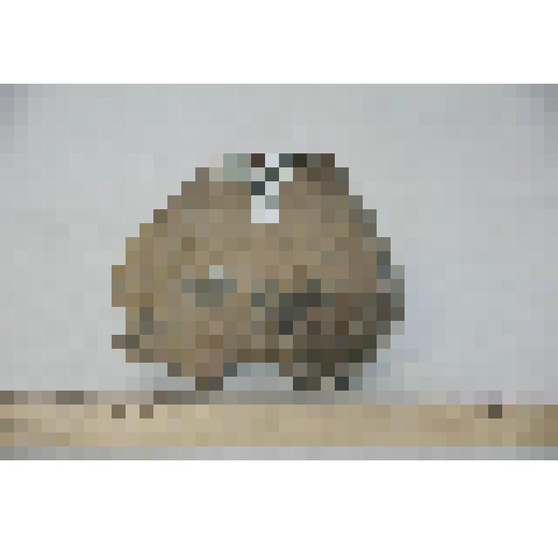 Фрагмент ручки сосуда