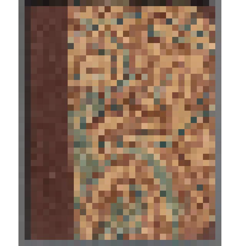 Книга. История Бастиллии