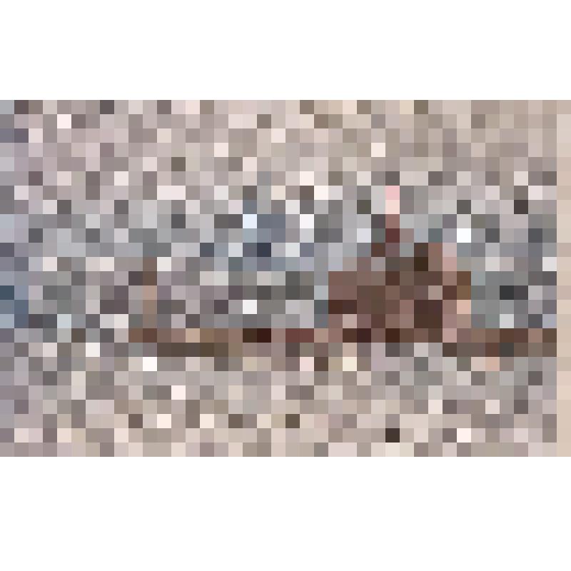 Открытка почтовая цветная. Репродукция картины  Г.О. Калмыкова "На берегу Невы"