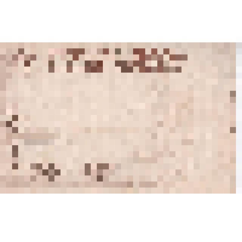 Открытка почтовая цветная. Репродукция картины  Г.О. Калмыкова "На берегу Невы"