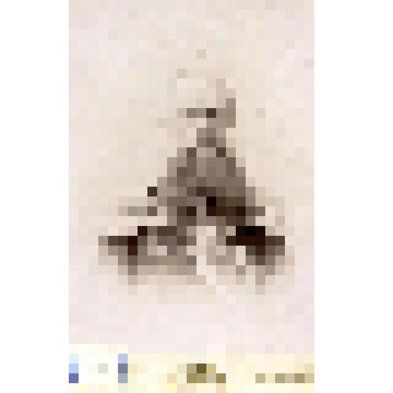 Фотография черно-белая. Вейс Константин Александрович