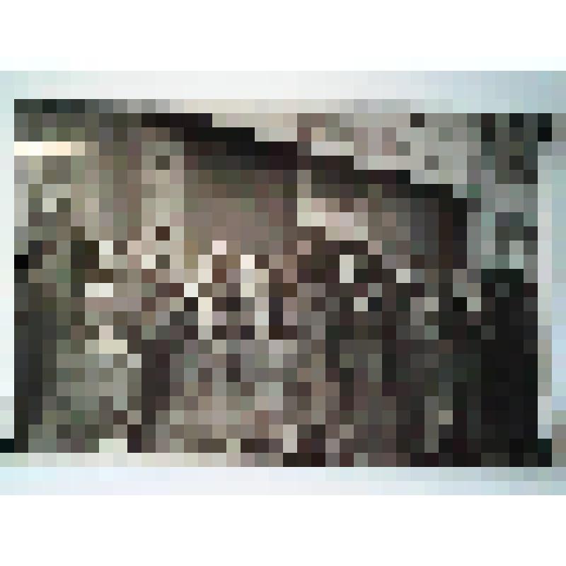 Фотография французских и английских военнопленных, освобожденных Советской армией