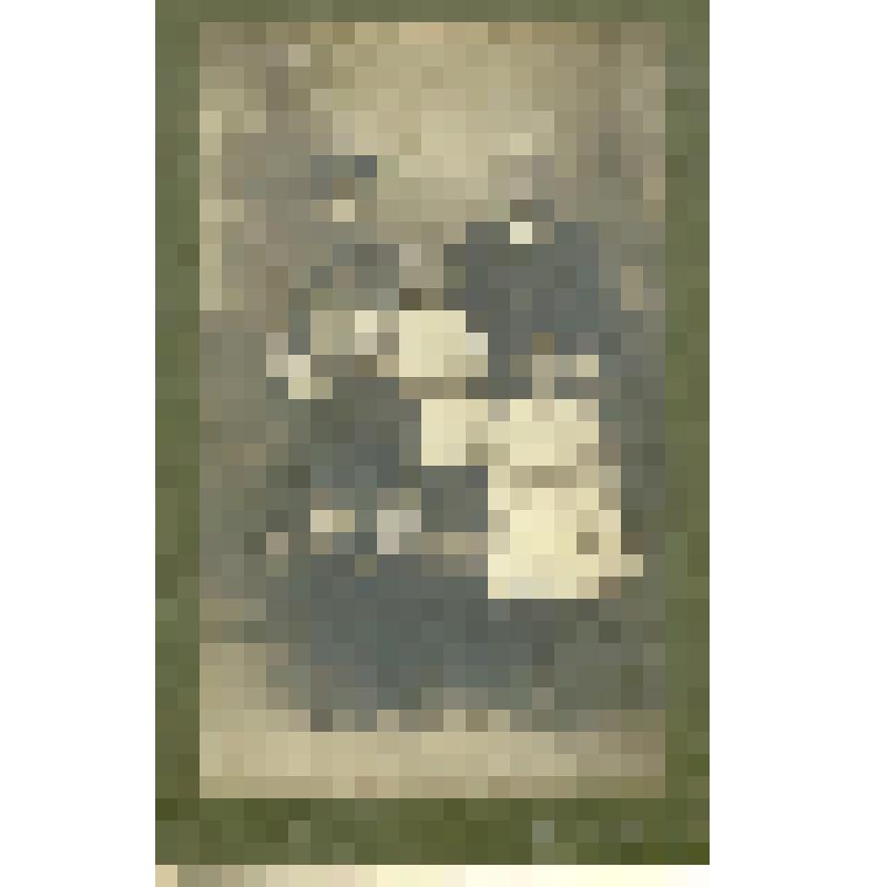 Фотография. Кистенев Иван Емельянович, бухгалтер РУЖД с семьей