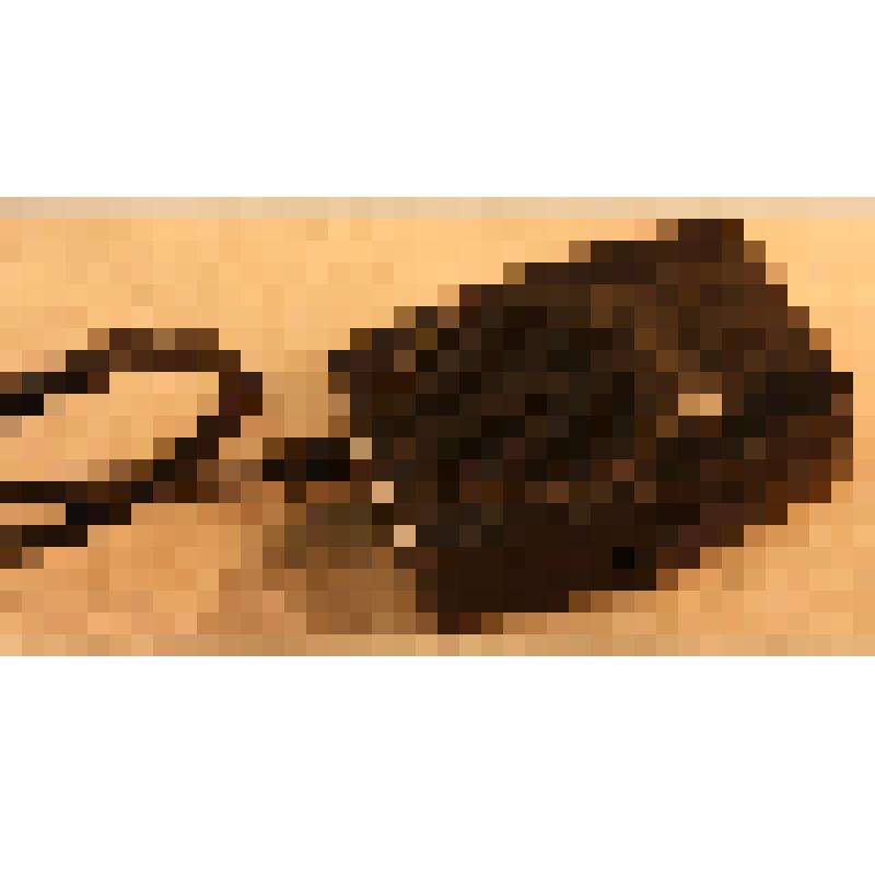 Микрофон № III 8654 к радиостанции «Сирена 23РТН»