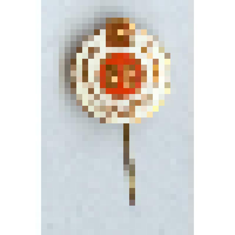 Значок нагрудный «50 лет Сар. ЗЭТО»