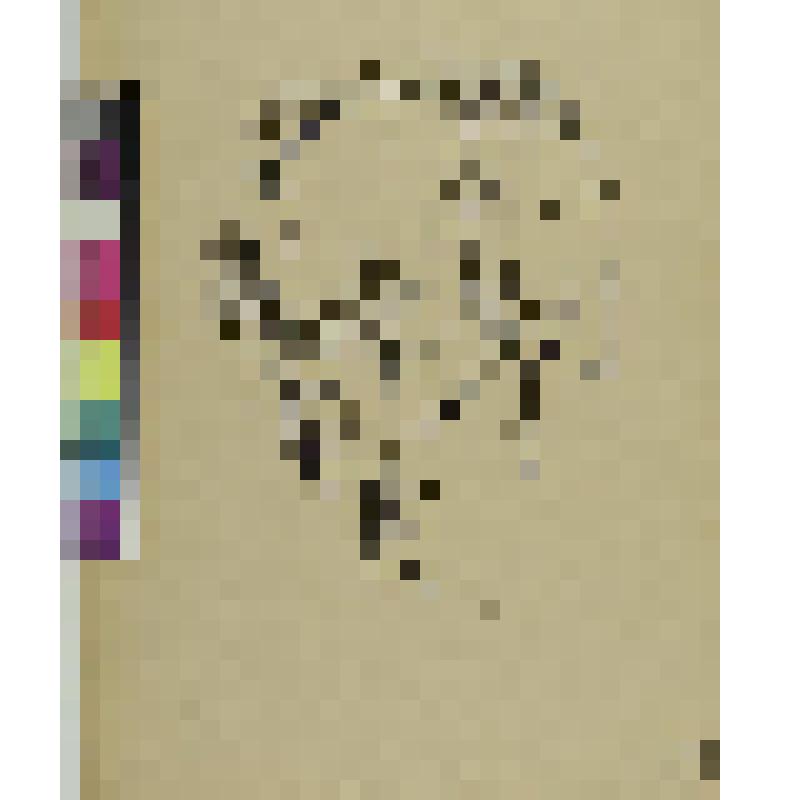 Портрет Херварта Вальдена, гравюра