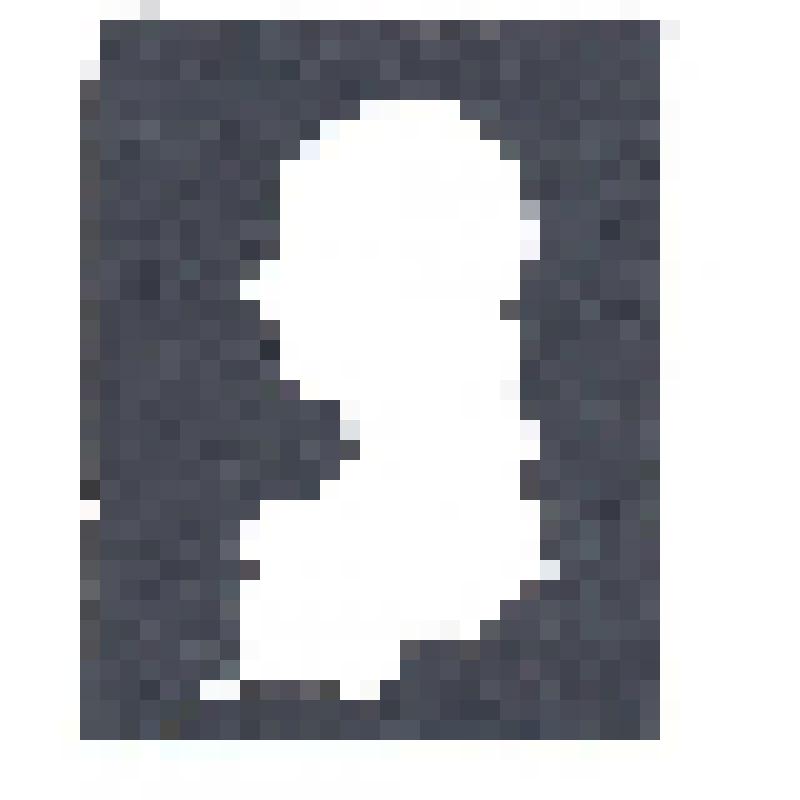 Роль Ани в спектакле "Вишневый сад"  - силуэт