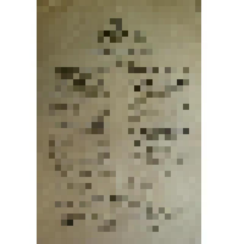 Афиша. "Лакомый кусочек" (Режиссер - И.П, Новиков.); "Адвокаты на дворе" (Режиссер - И.П, Новиков.); "Не было ни гроша, да вдруг алтын" (Режиссер - И.П, Новиков); "Заемные жены, или не узнаешь где найдешь, где потеряешь" (Режиссер - И.П, Новиков). Арханге