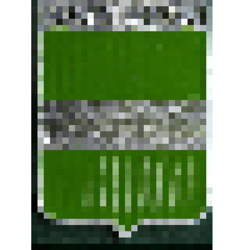 Значок с надписью  Калуга