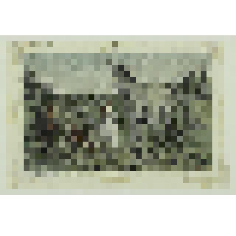 Иллюстрация к сказке братьев Гримм "Бременские музыканты". Осел, собака, кошка и петух по дороге в Бремен, гравюра