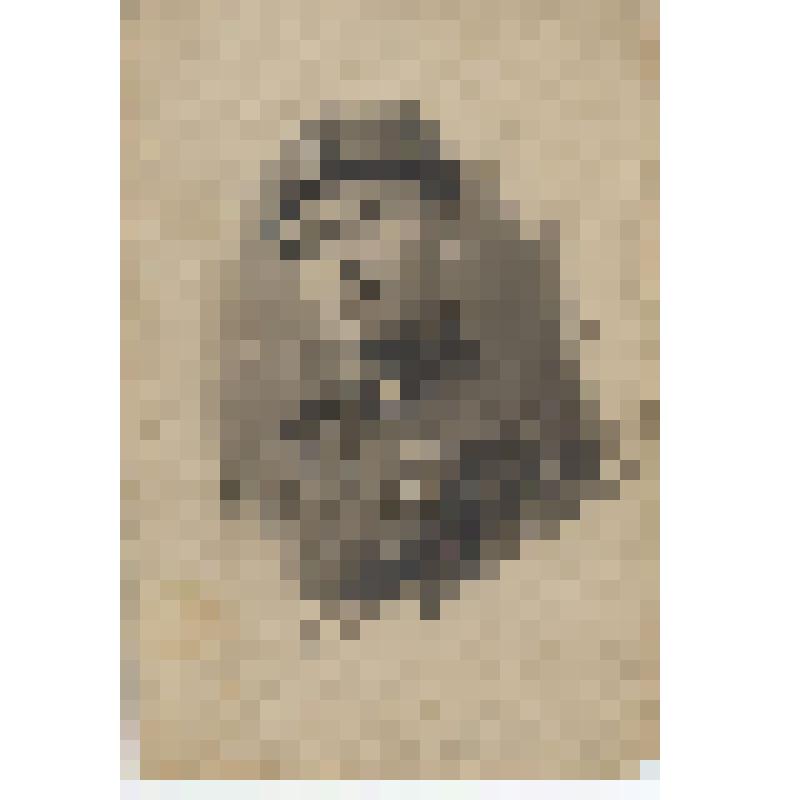 Фотография. Заозерский Василий Павлович