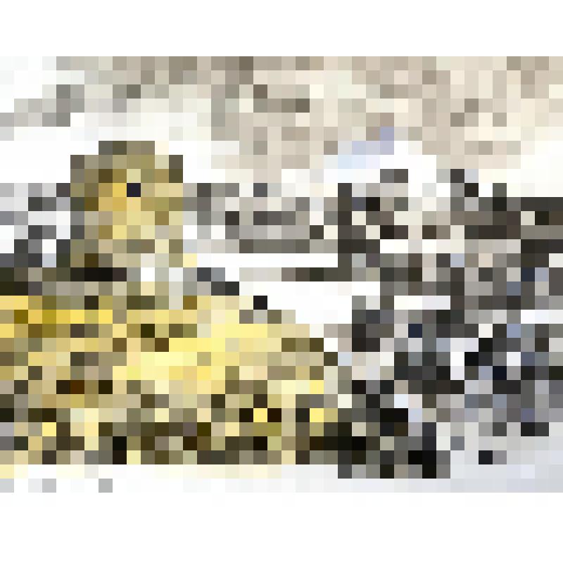 Цветной офорт "Елабуга.Чортово городище",1989 г