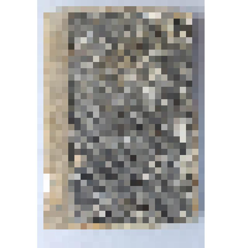 Книга. Бунин И.. Стихотворения. Издание т-ва «Знание». С.- Петербург, 1903 г