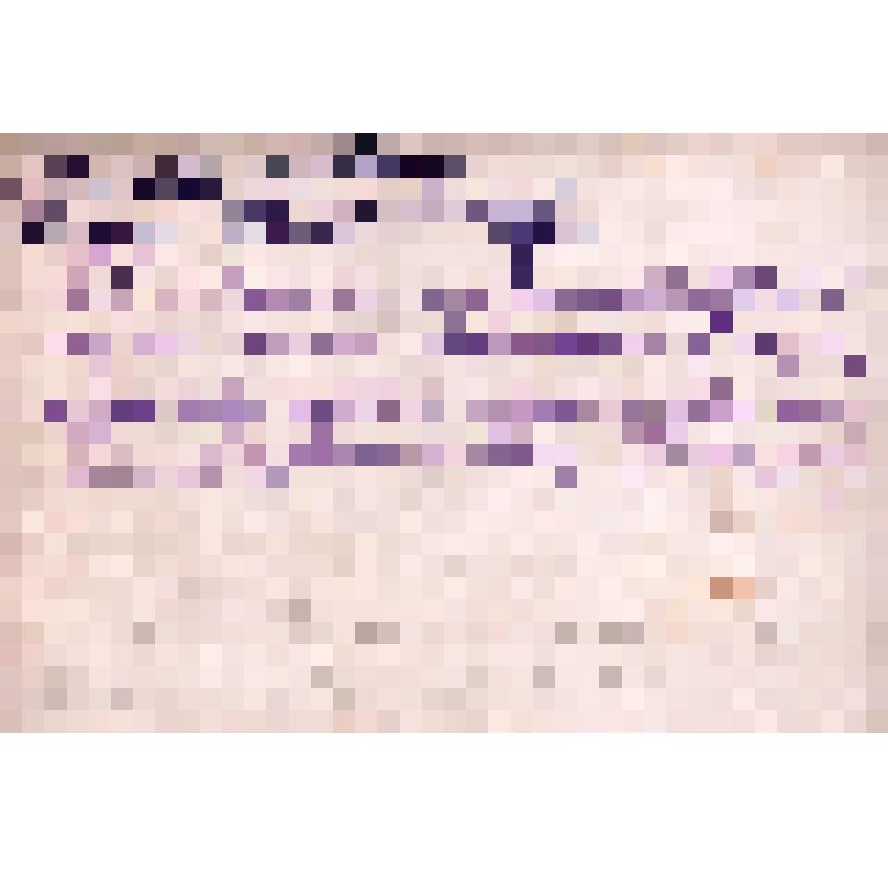 Фото: «Студенты Литературного института имени М. Горького на катке»