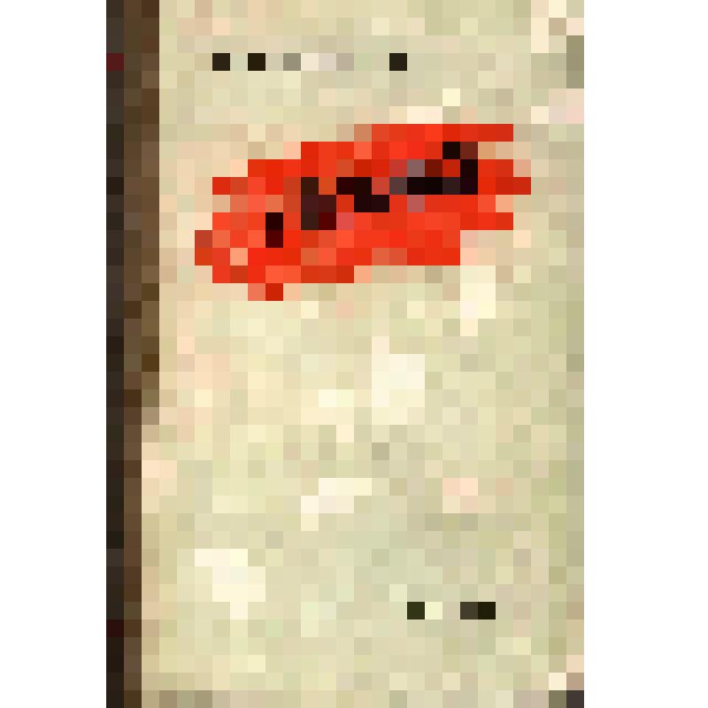 Книга. Нана