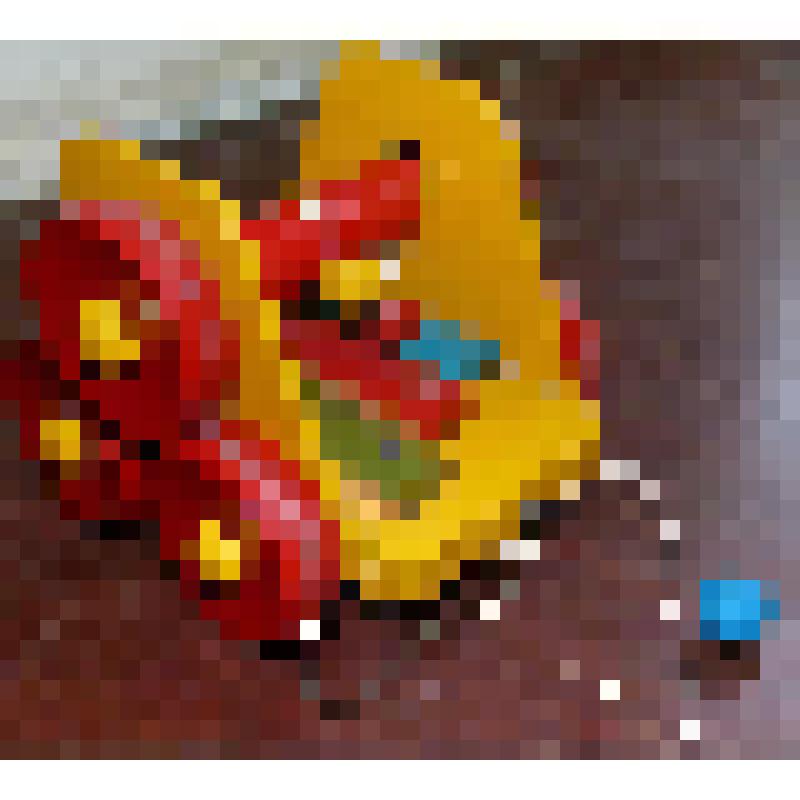 Каталка-ксилофон