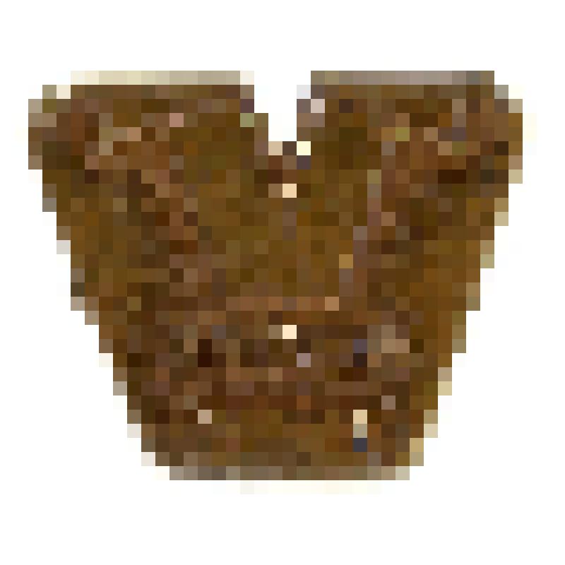 Знак памятный. V съезд ВООПИК