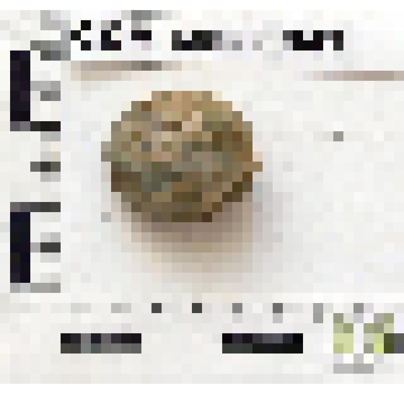 Буса