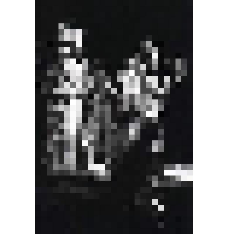Негатив черно-белый. Сцена из спектакля. "Борис Годунов" (1994 г.)