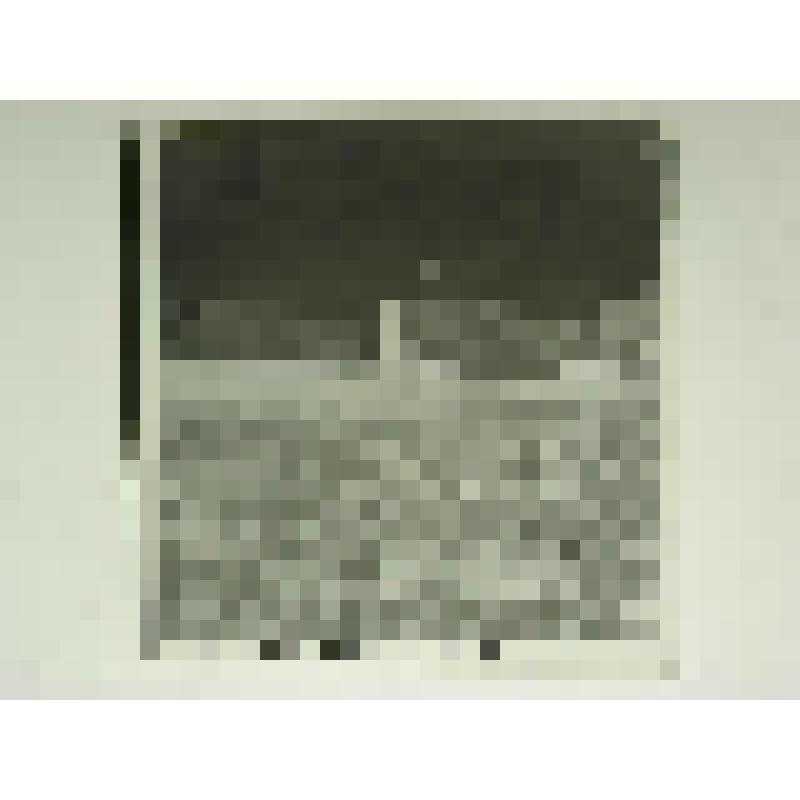 Дом А.П.Мартынова. Ул. П.Морозова, 10-12. втор.пол. XIX в. Челябинская  обл., г. Карабаш, пос. Южный (с.Саймоновское). Дом А.П.Мартынова. Ул. П.Морозова, 10-12, втор.пол. XIX в. Общий вид усадьбы со стороны огорода