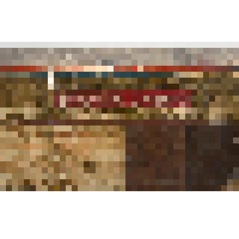 Икона "Рождество Христово"