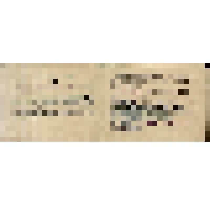 Документ. Удостоверение об окончании курсов усовершенствования преподавателей школ и училищ ВВС Шейченко Михаила Павловича подполковника АТС. Приказ Главнокомандующего Военно-воздушных сил Советской Армии Союза ССР за № 01962 от 9 июля 1951г