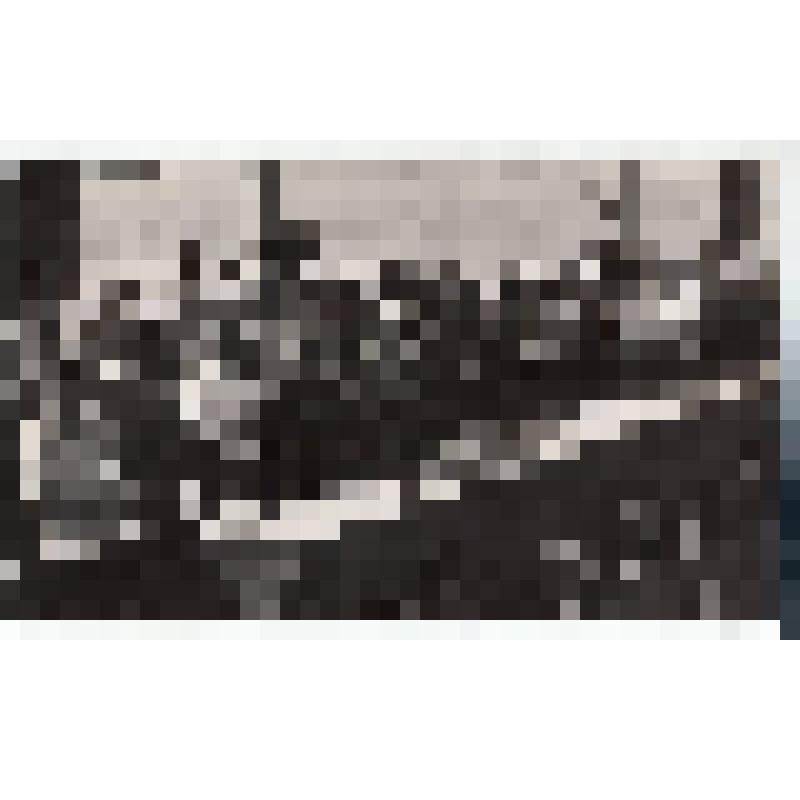 Ф/чб. Открытие автомоста Саратов-Энгельс через р. Волга. Почетные гости в президиуме за трибуной. 11.07.1965