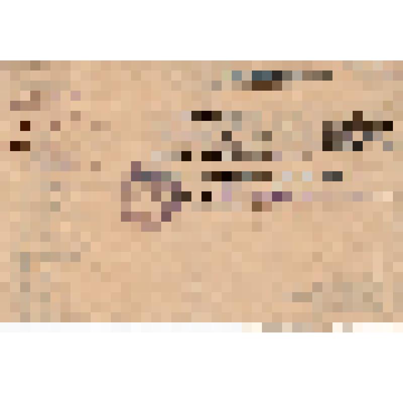 Удостоверение N9803 Ляпина И.М. - зам. зав. эконом. отд. Крым. Сов. Профсоюзов