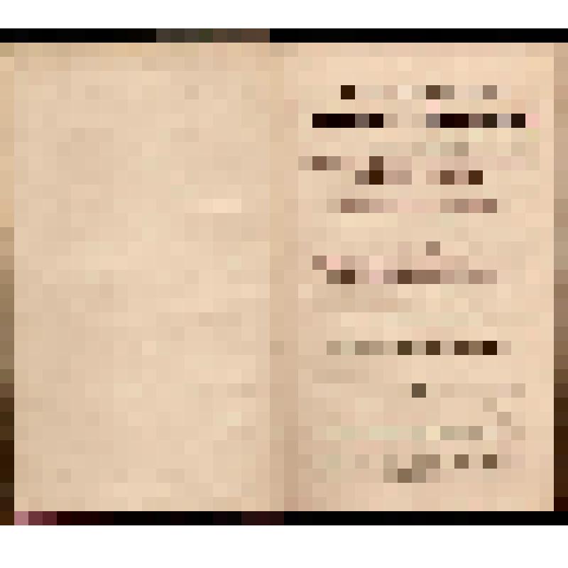 Книга. "Технический словарь. На шести языках. Иллюстрированный". Издание книготоргового т-ва «Культура» Том №  I