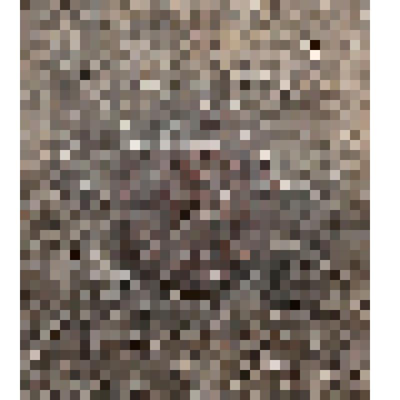 Картина. "Портрет князя Михаила Никитича Волконского (1713 - 1788)"