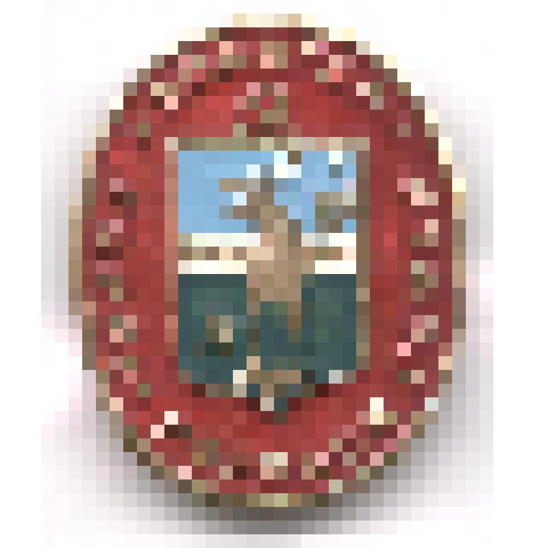 Значок нагрудный с изображением герба г.Вологды. Серия "Гербы городов РСФСР". Из коллекции по теме "Геральдика"