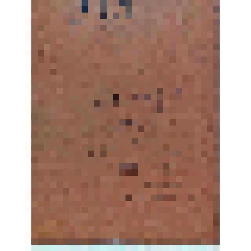 Этюд. Весна