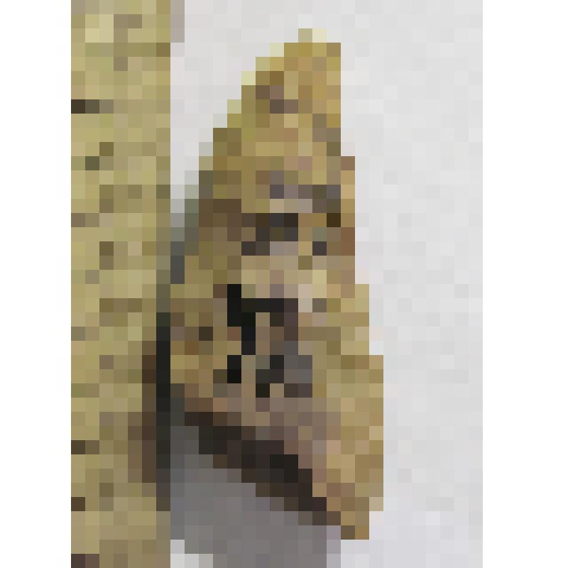 Нижняя часть наконечника стрелы